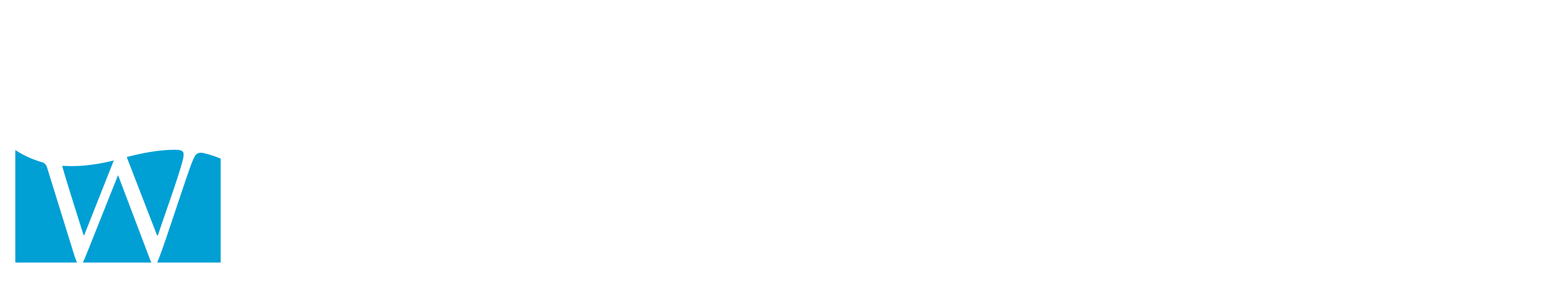 BLUWATER foundation